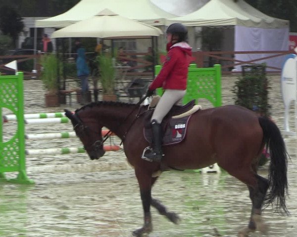 Equus Colonius - Reitanlage Brüse 2022