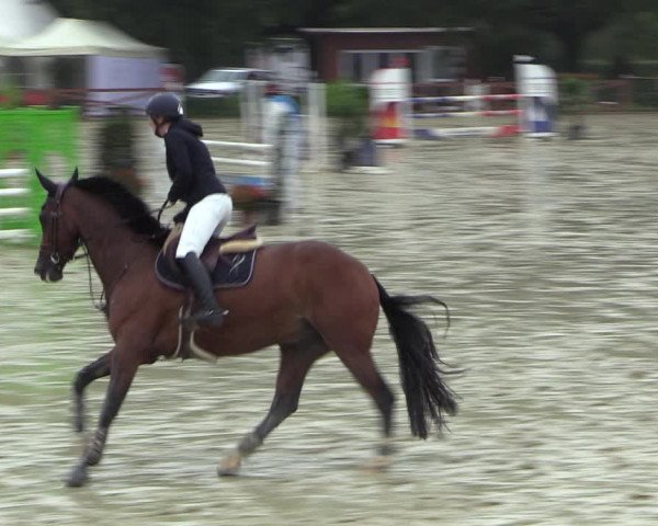 Equus Colonius - Reitanlage Brüse 2022