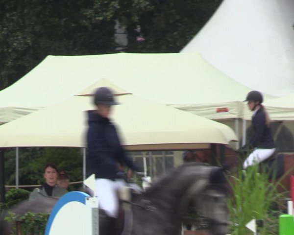 Equus Colonius - Reitanlage Brüse 2022
