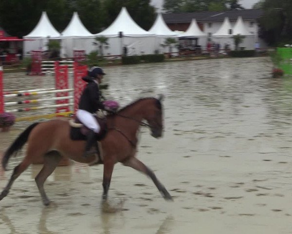 Equus Colonius - Reitanlage Brüse 2022