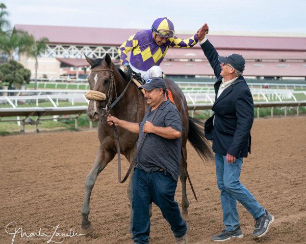 horse Justique xx (Thoroughbred, 2020, from Justify xx)