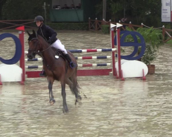 Equus Colonius - Reitanlage Brüse 2022