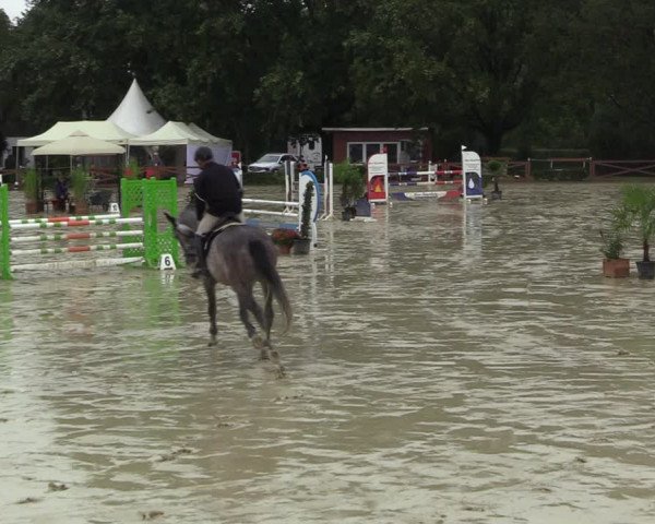 Equus Colonius - Reitanlage Brüse 2022