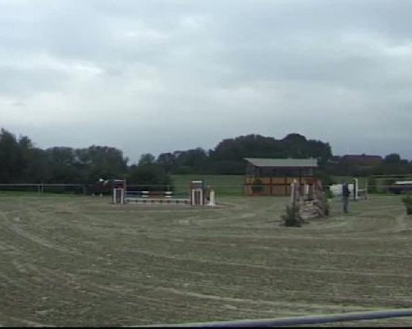 broodmare La Vega (Westphalian, 1998, from Landro L)