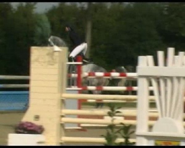 Springpferd Lenz 47 (Westfale, 2003, von Lamoureux I)