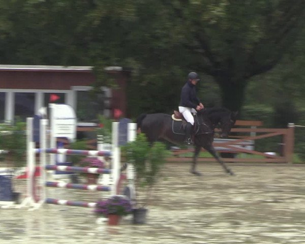 Equus Colonius - Reitanlage Brüse 2022