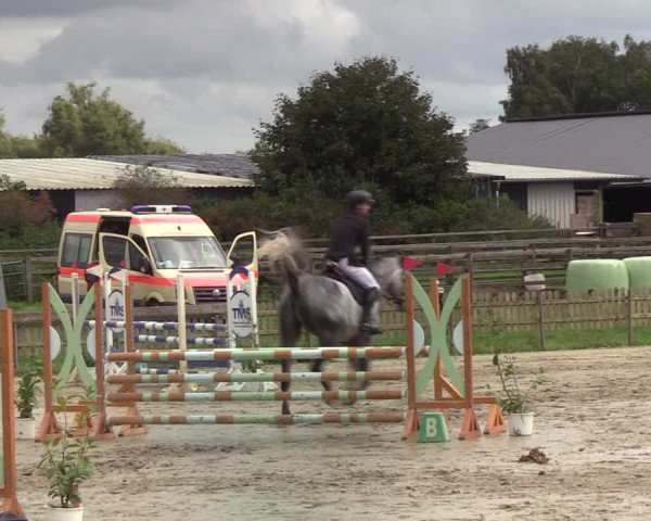 Reitturnier Schülp / Rendsburg 2021