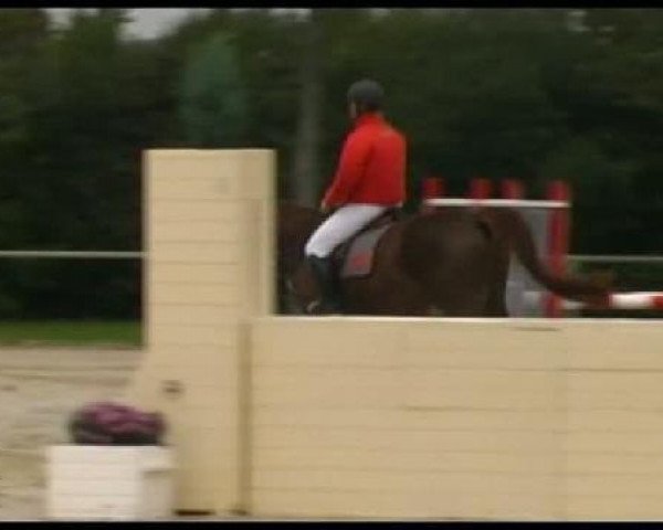jumper Forlan (Hanoverian, 2006, from For Pleasure)