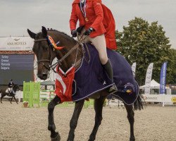 jumper Hyacinthe (KWPN (Royal Dutch Sporthorse), 2012, from Indoctro)