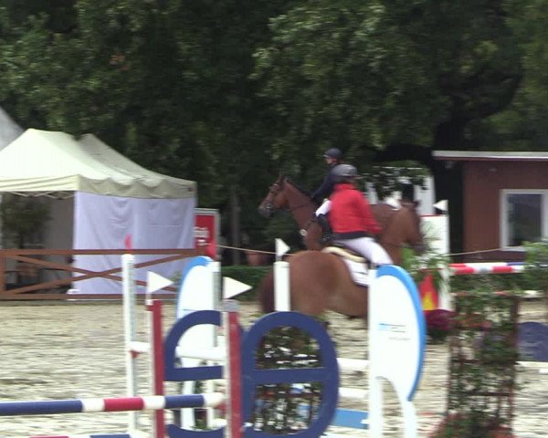 Equus Colonius - Reitanlage Brüse 2022