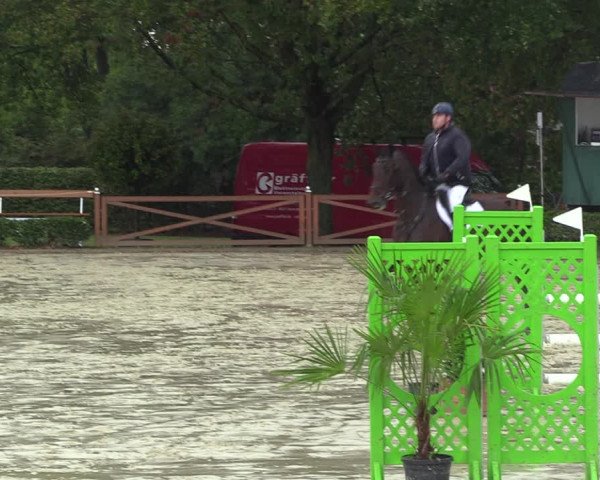 Equus Colonius - Reitanlage Brüse 2022