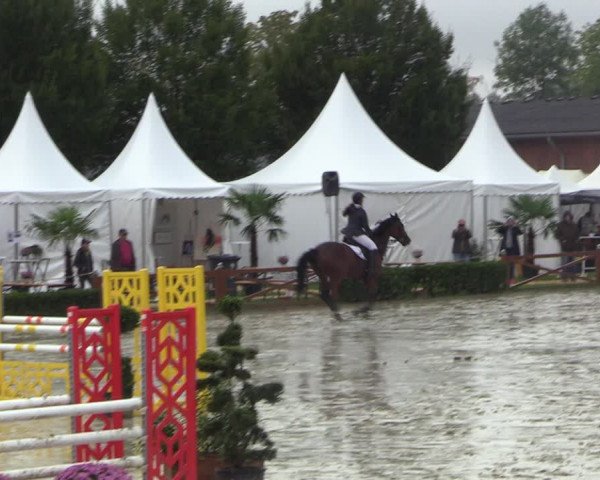 Equus Colonius - Reitanlage Brüse 2022