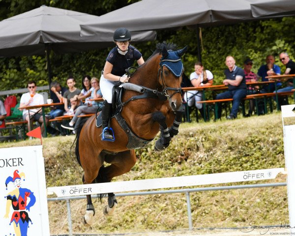 jumper FBW Lord Louis R (Württemberger, 2011, from Lord Pezi)