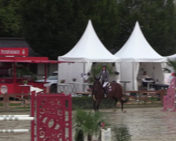 Equus Colonius - Reitanlage Brüse 2022