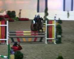 dressage horse Tardrasso (German Riding Pony, 2003, from Tarzan)