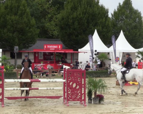 Equus Colonius - Reitanlage Brüse 2022