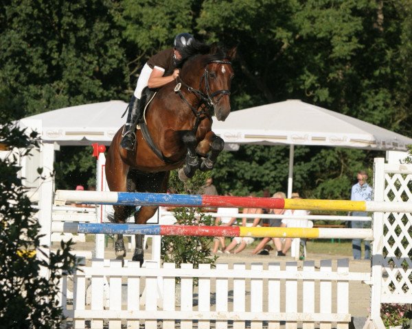 jumper Lasse G (Oldenburg, 2001, from Landjonker (Fruhling)) jumper Lasse G (Oldenburg, 2001, from Landjonker (Fruhling))