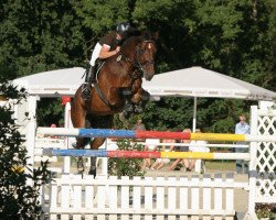 Cavallo da salto Lasse G (Oldenburger, 2001, di Landjonker (Fruhling))