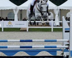 broodmare Easy (KWPN (Royal Dutch Sporthorse), 2009, from VDL Cardento 933)