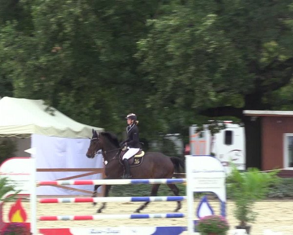 Equus Colonius - Reitanlage Brüse 2022