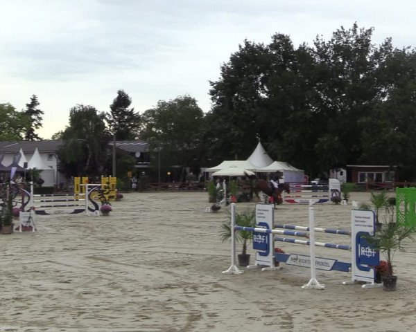 Equus Colonius - Reitanlage Brüse 2022
