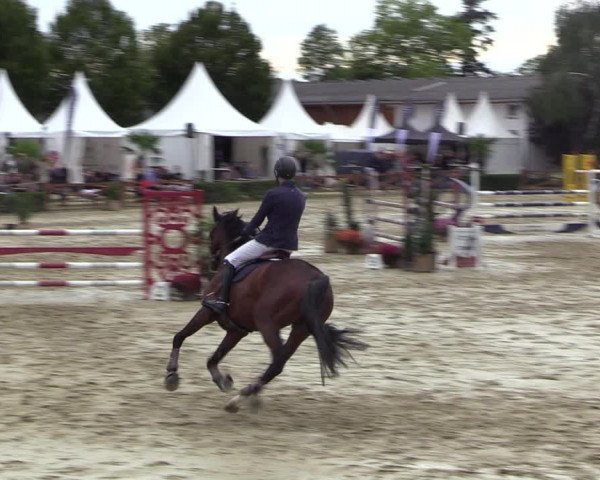 Equus Colonius - Reitanlage Brüse 2022