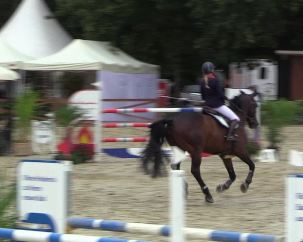 Equus Colonius - Reitanlage Brüse 2022
