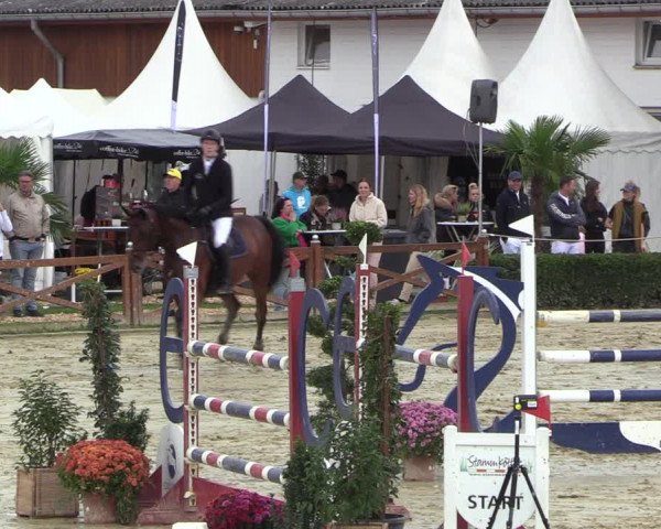 Equus Colonius - Reitanlage Brüse 2022
