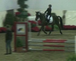 dressage horse Moonraker (unknown, 2015)