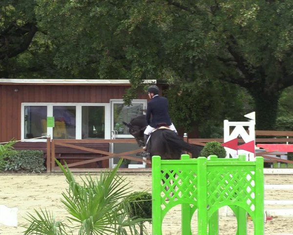 Equus Colonius - Reitanlage Brüse 2022
