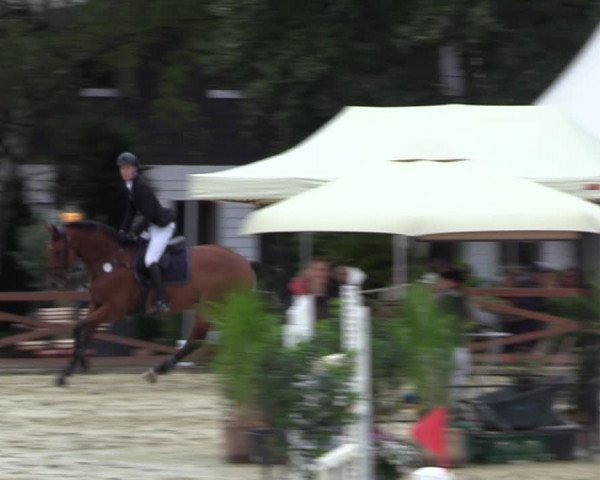 Equus Colonius - Reitanlage Brüse 2022