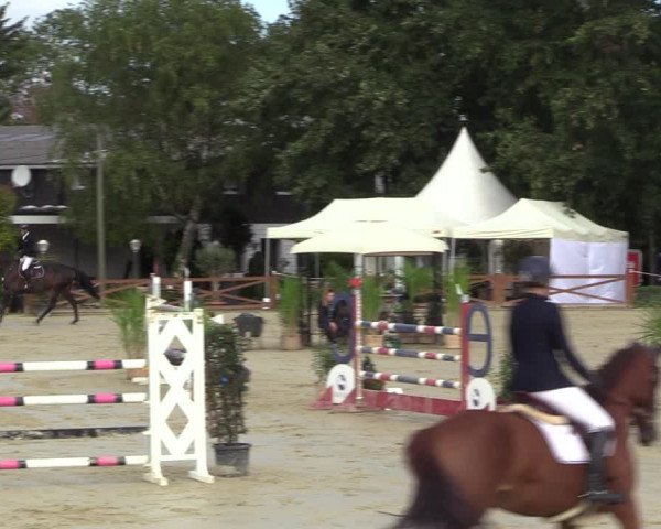 Equus Colonius - Reitanlage Brüse 2022