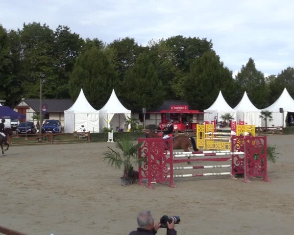 Equus Colonius - Reitanlage Brüse 2022