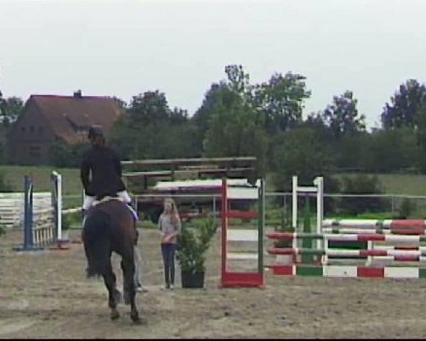 jumper Conpiko (Westphalian, 2005, from Charming 8)