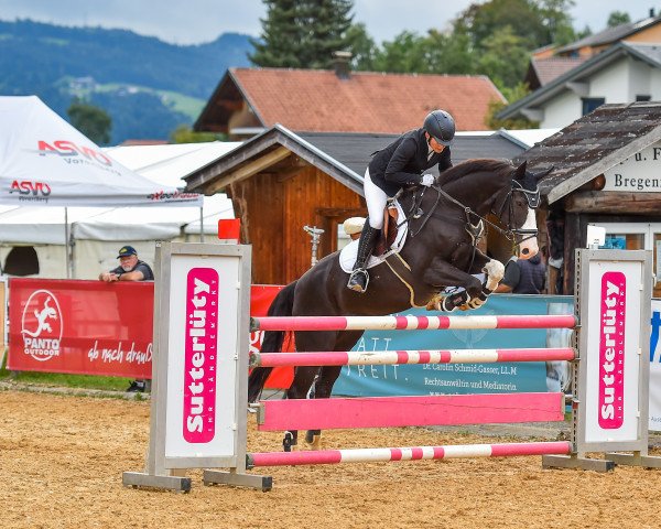 jumper Che Guevara 34 (Württemberger, 2007, from Champion For Pleasure)