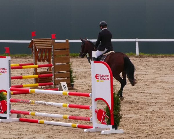 Reitturnier Bad Schmiedeberg 2022