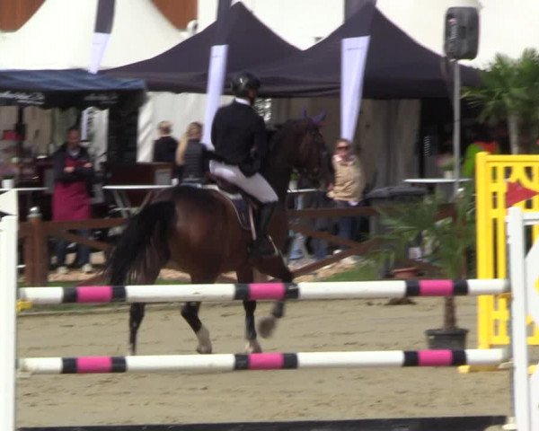 Equus Colonius - Reitanlage Brüse 2022
