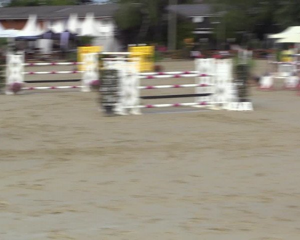 Equus Colonius - Reitanlage Brüse 2022