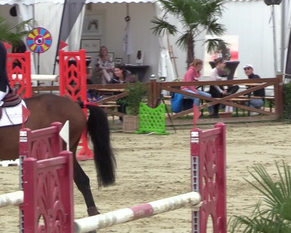 Equus Colonius - Reitanlage Brüse 2022