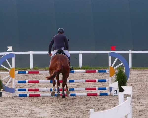 Reitturnier Bad Schmiedeberg 2022