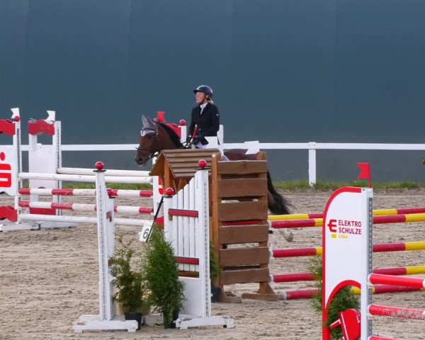 Reitturnier Bad Schmiedeberg 2022