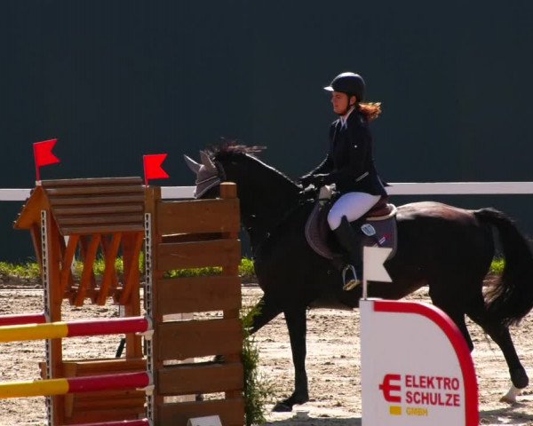 Reitturnier Bad Schmiedeberg 2022