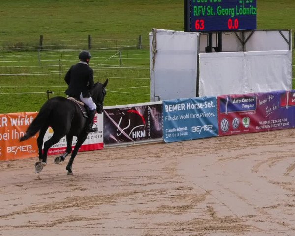 Reitturnier Bad Schmiedeberg 2022