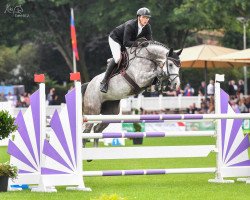 jumper Crystal Blue 3 (Oldenburg show jumper, 2017, from Casino Grande)