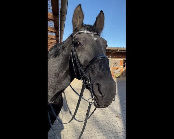 Video of French Girl H