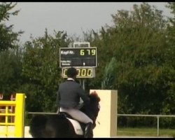 dressage horse Faberge 35 (Hanoverian, 1998, from Fabriano)