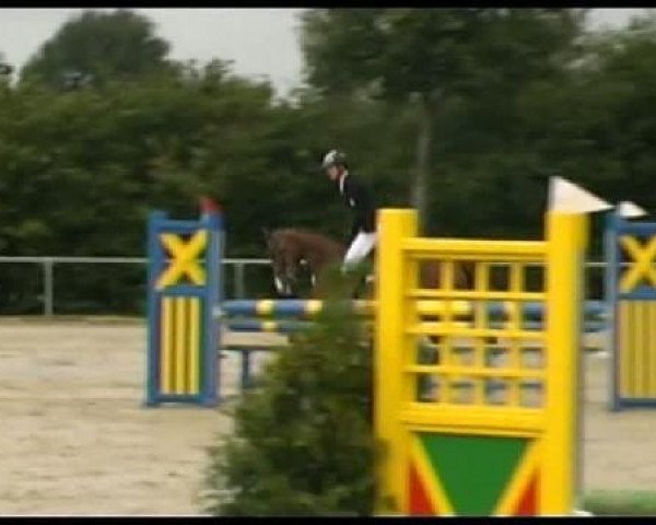 Springpferd Lilly Marleen 46 (Belgisches Warmblut, 2007, von Lord Z)