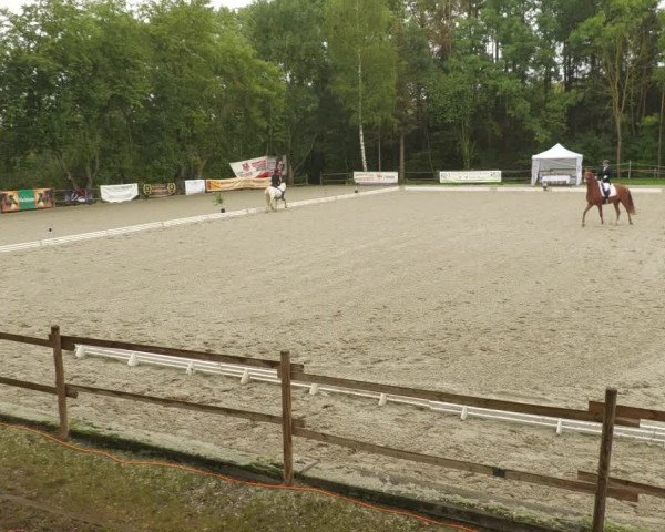 Reitturnier Ditzingen 2022