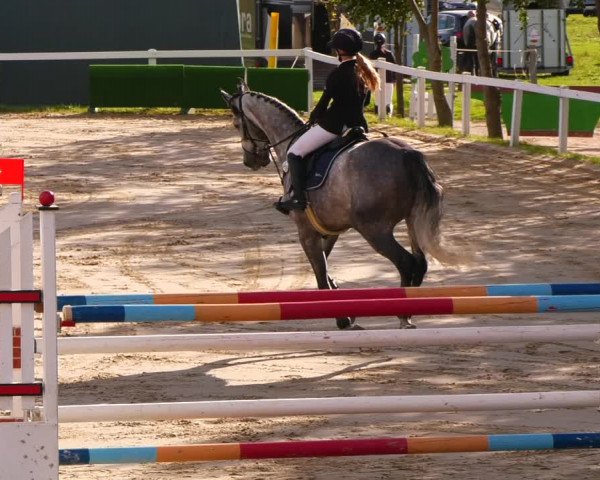 Reitturnier Bad Schmiedeberg 2022