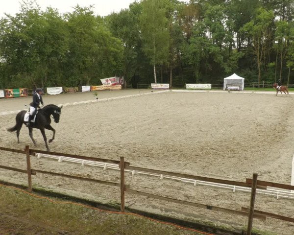 Reitturnier Ditzingen 2022